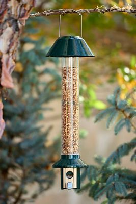 PestOff Squirrel Proof Bird Feeder
