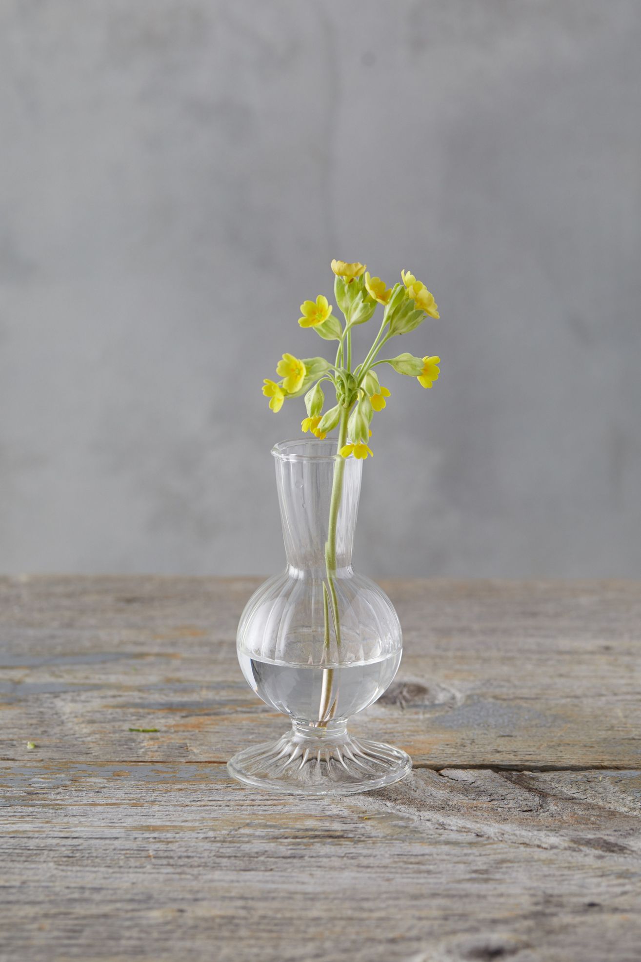 Scalloped Glass Vase - Ivory, Standard, One Size