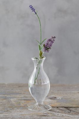 Scalloped Glass Vase
