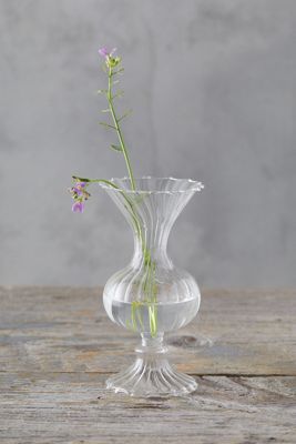 Scalloped Glass Vase