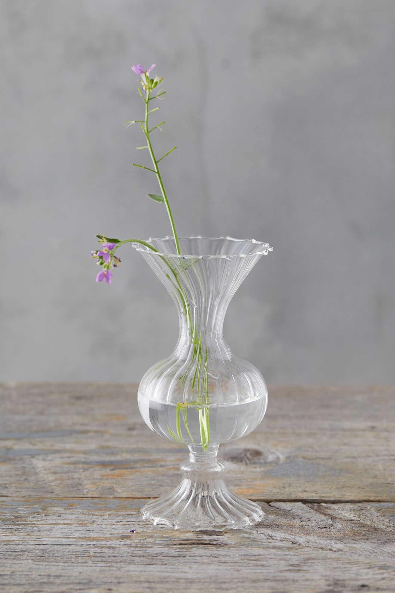 Scalloped Glass Vase - Neutral, Standard, One Size