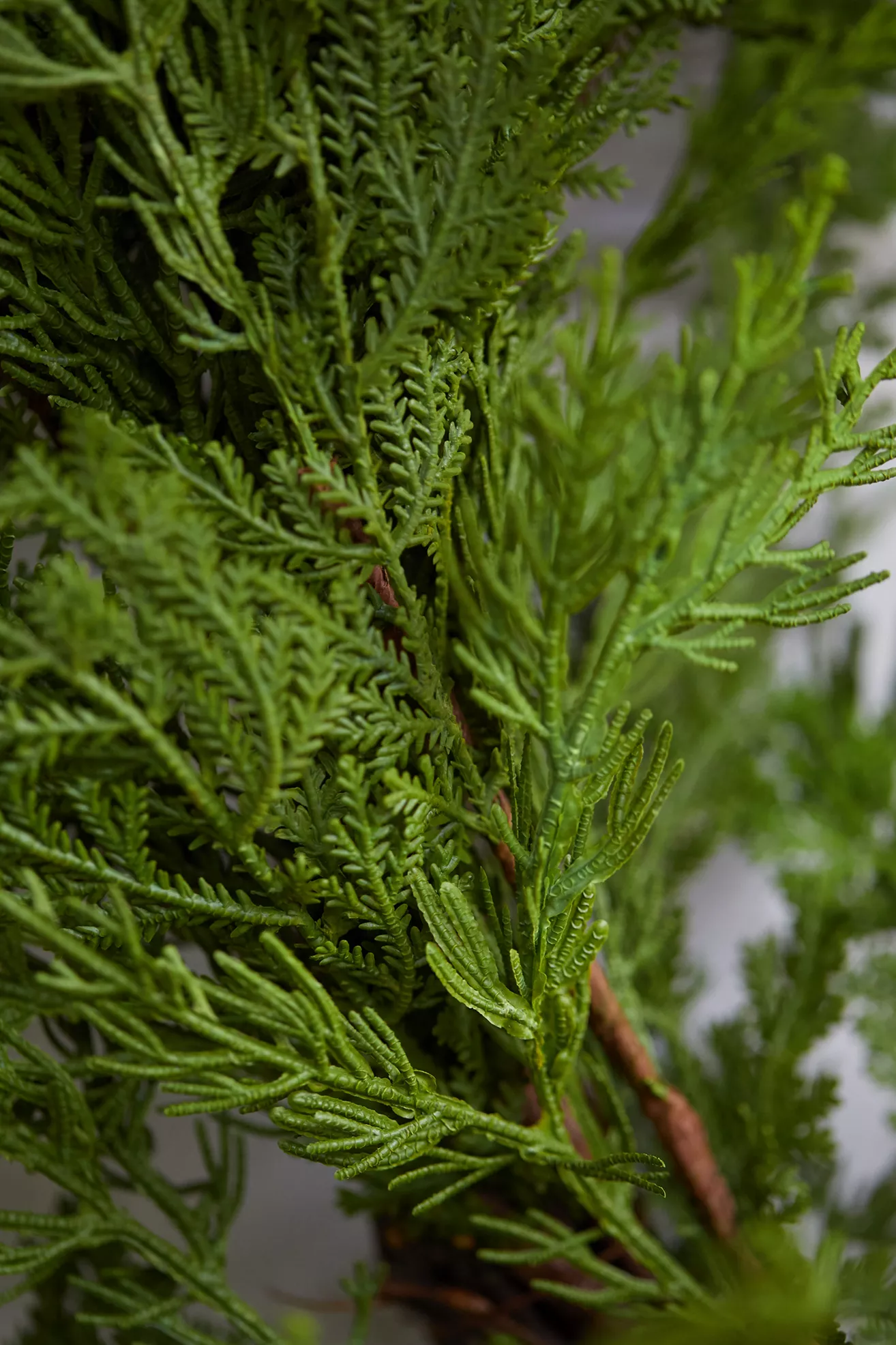 Terrain Faux Cedar Wreath - thumbnail 6