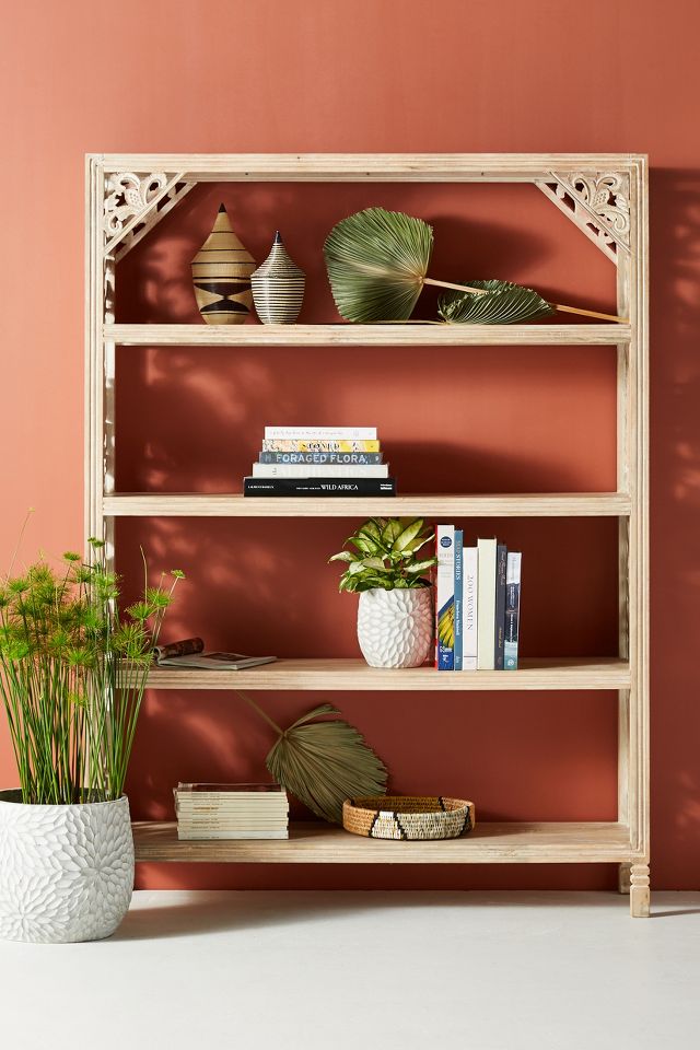 Bookcase anthropologie 2024