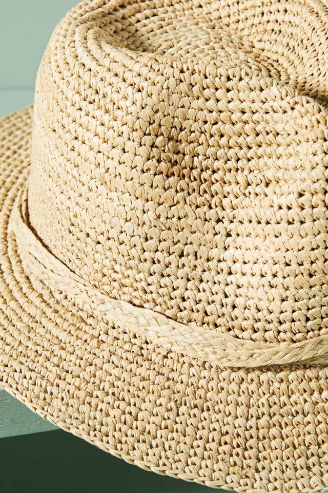 Twisted Trim Fedora #1