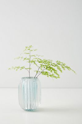 Ribbed Vessel