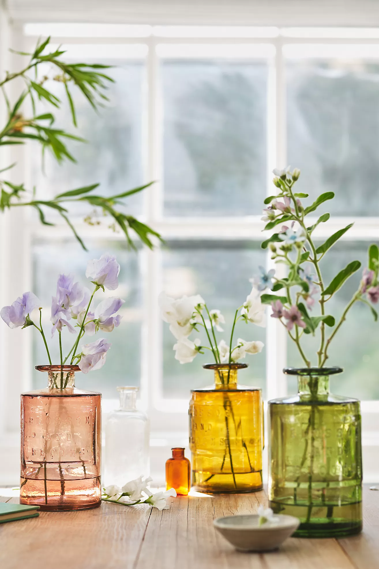 Shop Blossom and Blooms Apothecary Jar in Gold from Anthropologie on Openhaus