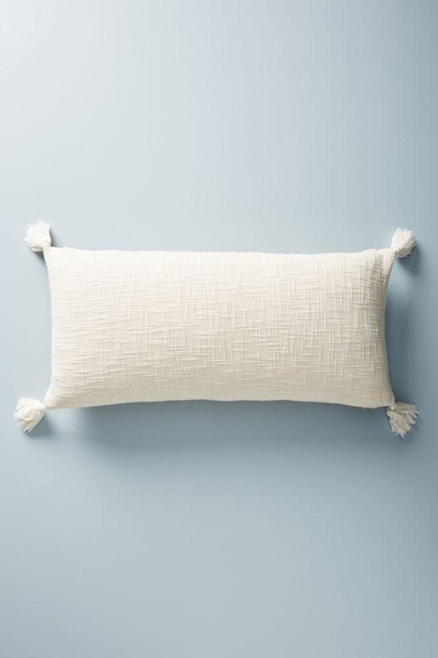 Embroidered Ryleigh Pillow #2