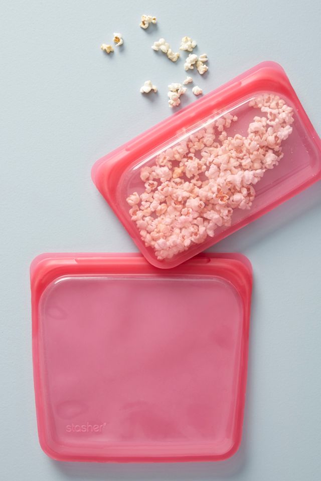 Stasher Sandwich Bag #1