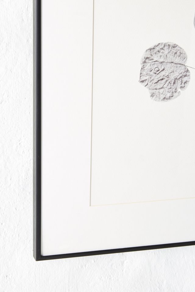 The Last Bougainvillea Wall Art #1