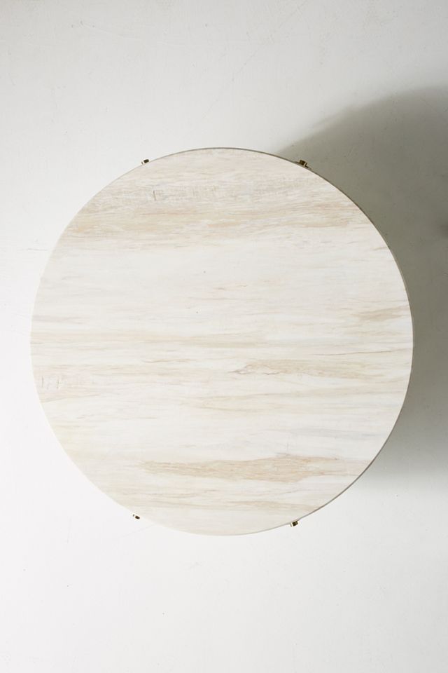 Marcelle Round Storage Coffee Table #1