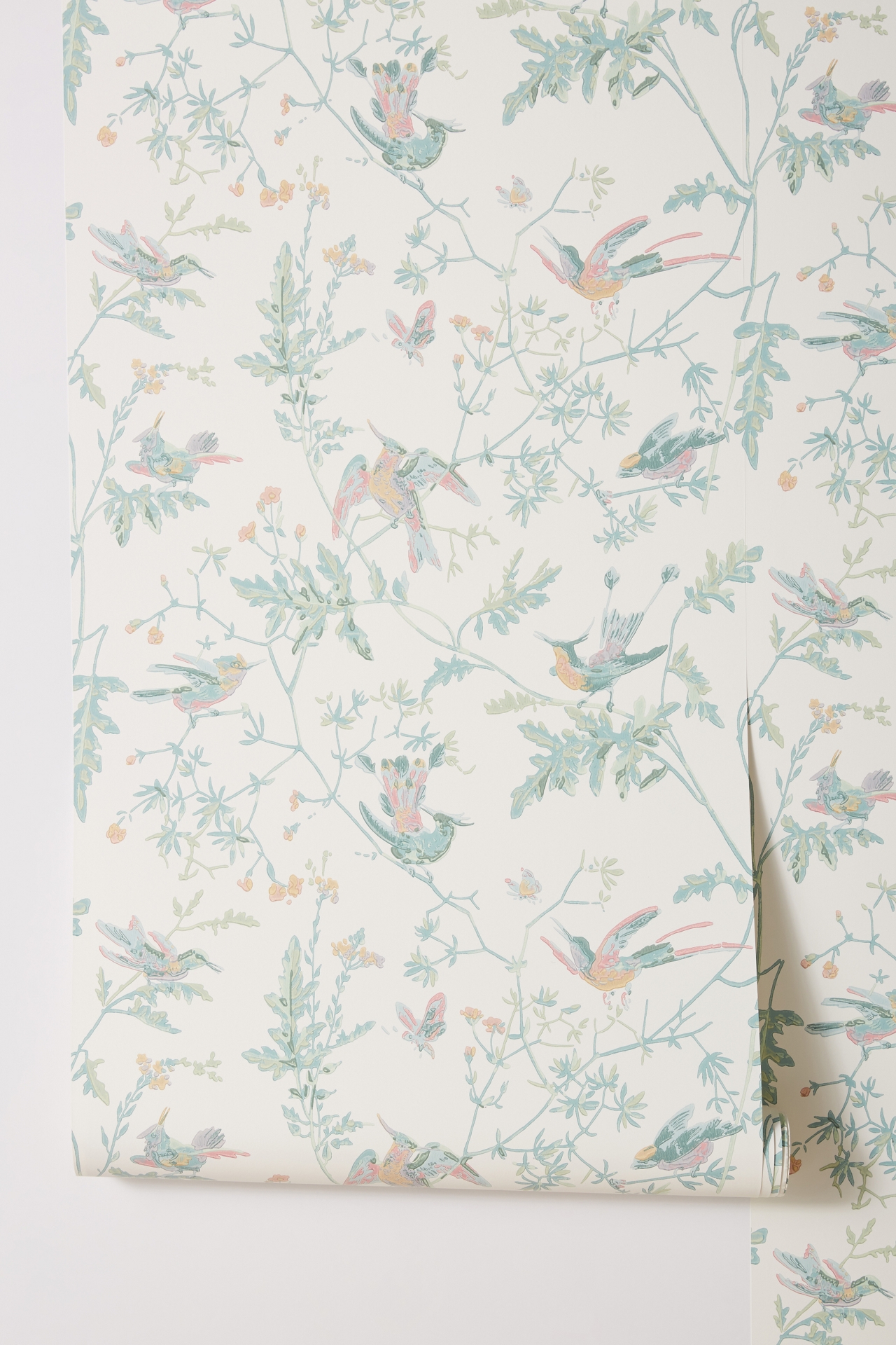 Cole & Son Hummingbird Wallpaper