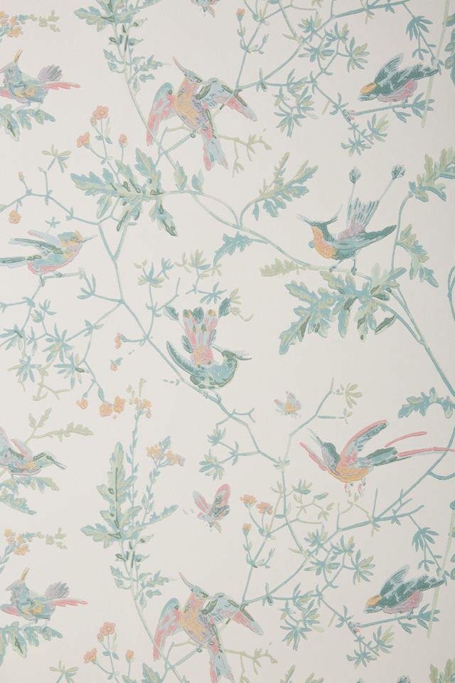 Cole & Son Hummingbird Wallpaper #2