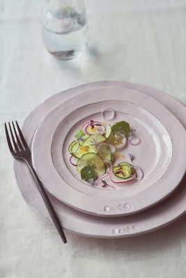 The Glenna Italian Earthenware Dinner Plates, Set of 4