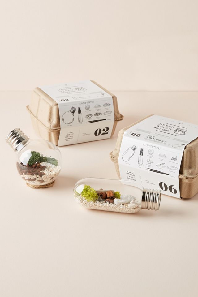 Urban Green Makers Terrarium Kit #1