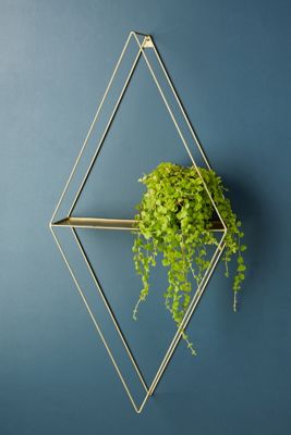 Quincy Shelf
