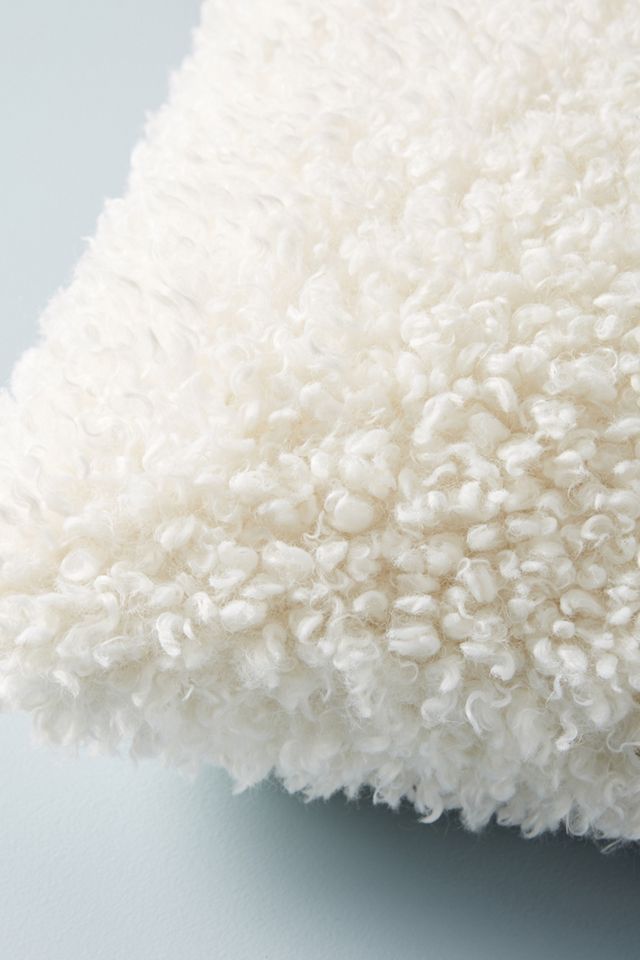 Fuzzy Faux Fur Pillow #2