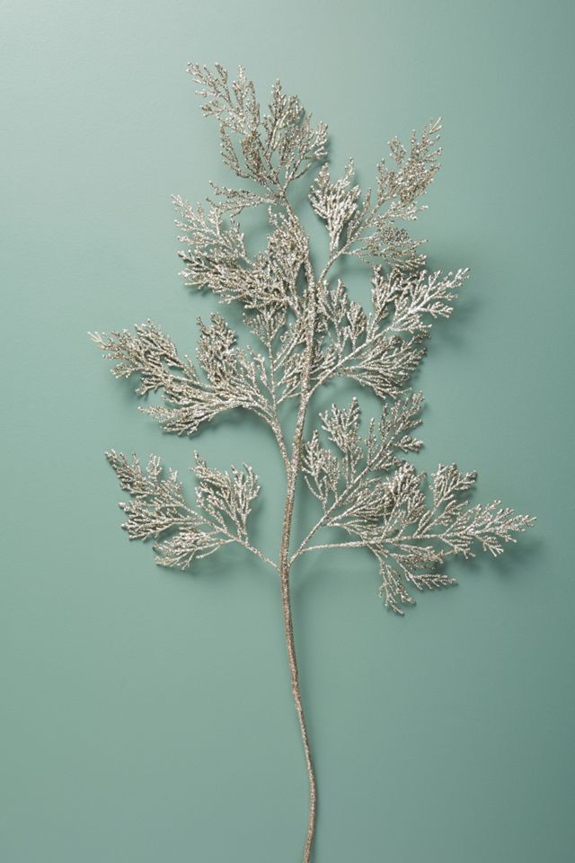 Sea Fan Spray #1
