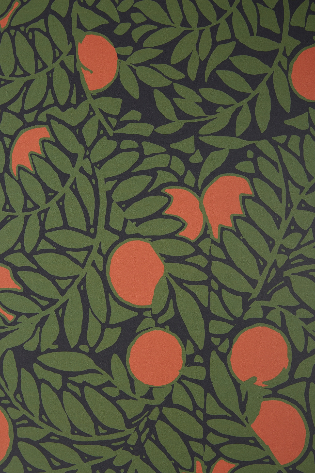 Orange Grove Wallpaper