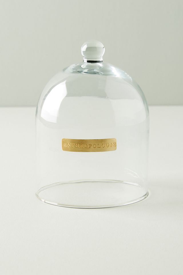 Anthropologie Cloche #1