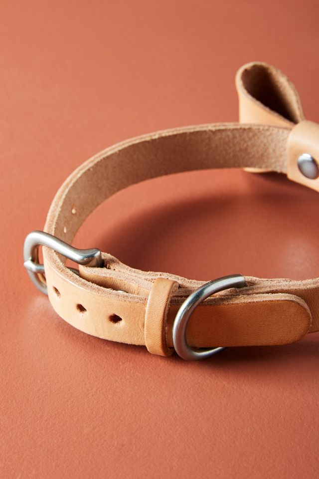 Leather Bow Tie Dog Collar #2