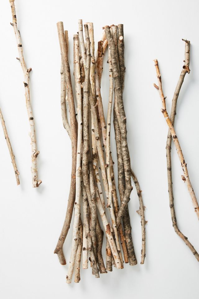 Birch Branch Bundle #1
