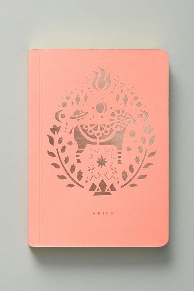 Mini Zodiac Journal #1