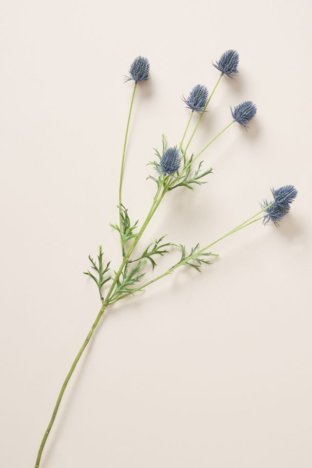 Blue Thistle Stem #1