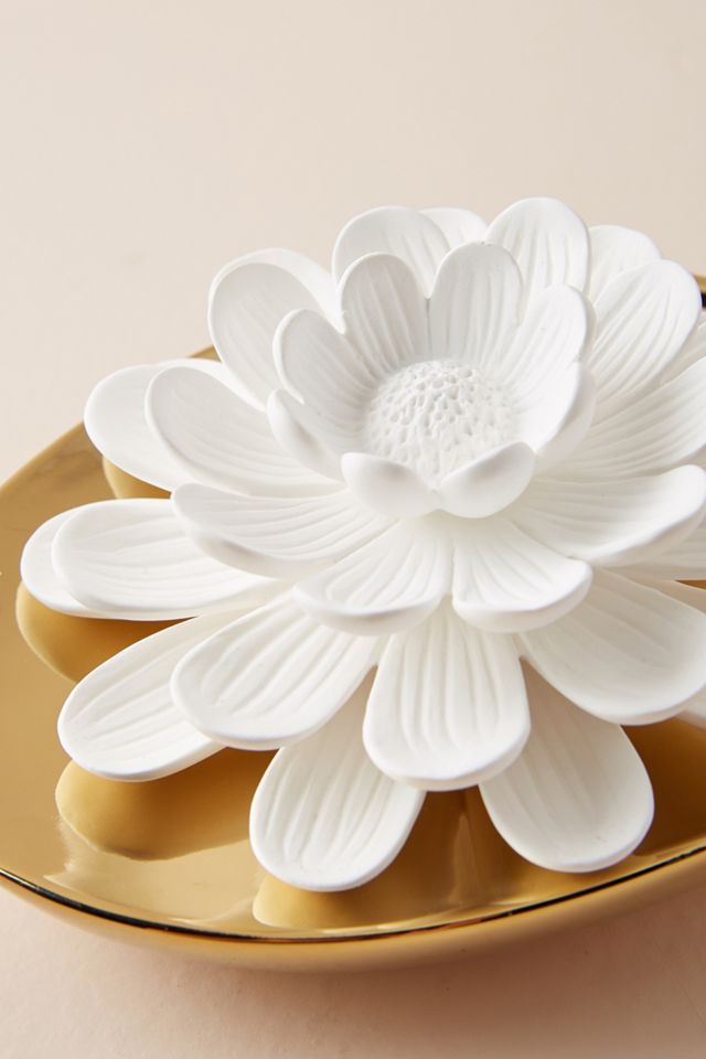 Dream Essential Oil Diffuser #1