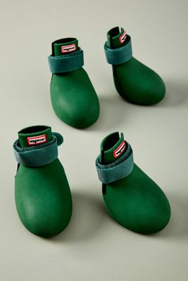 Dog Booties
