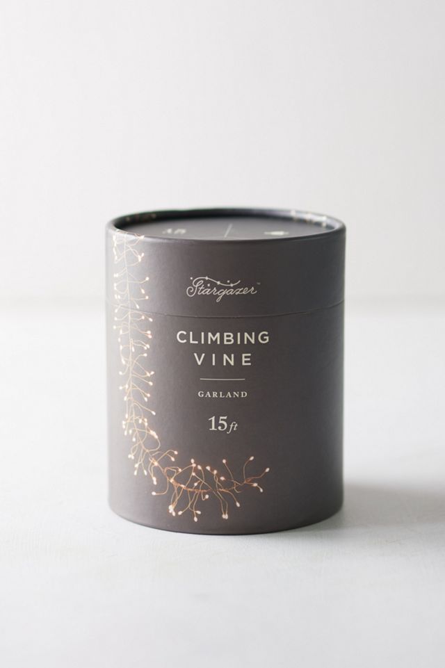 Stargazer Twinkling Climbing Vine Garland #6