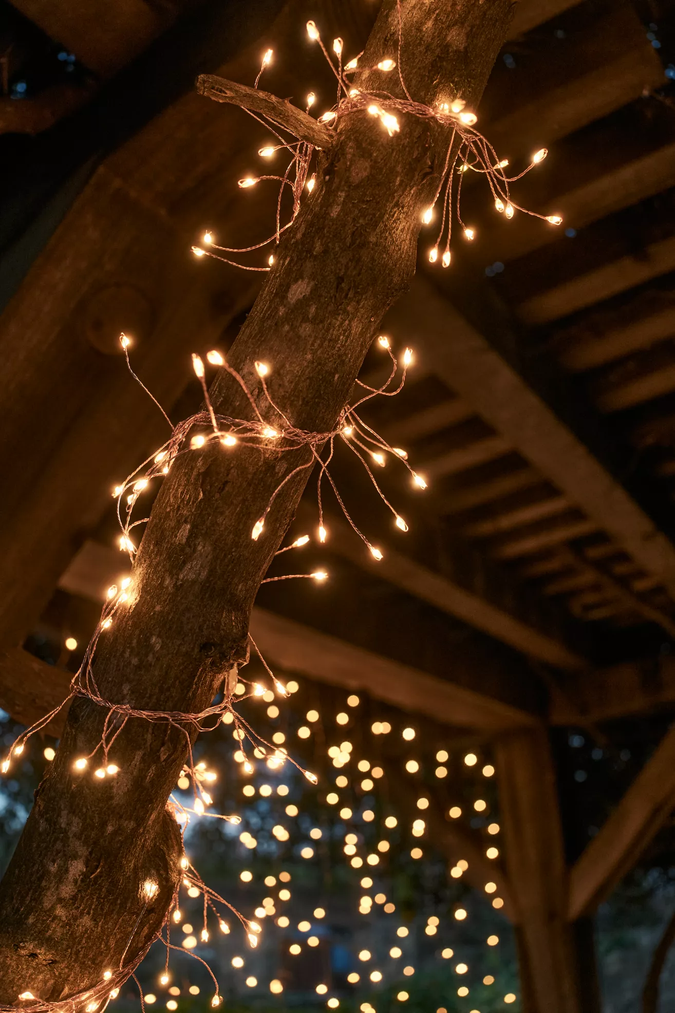 Stargazer Climbing Vine Garland