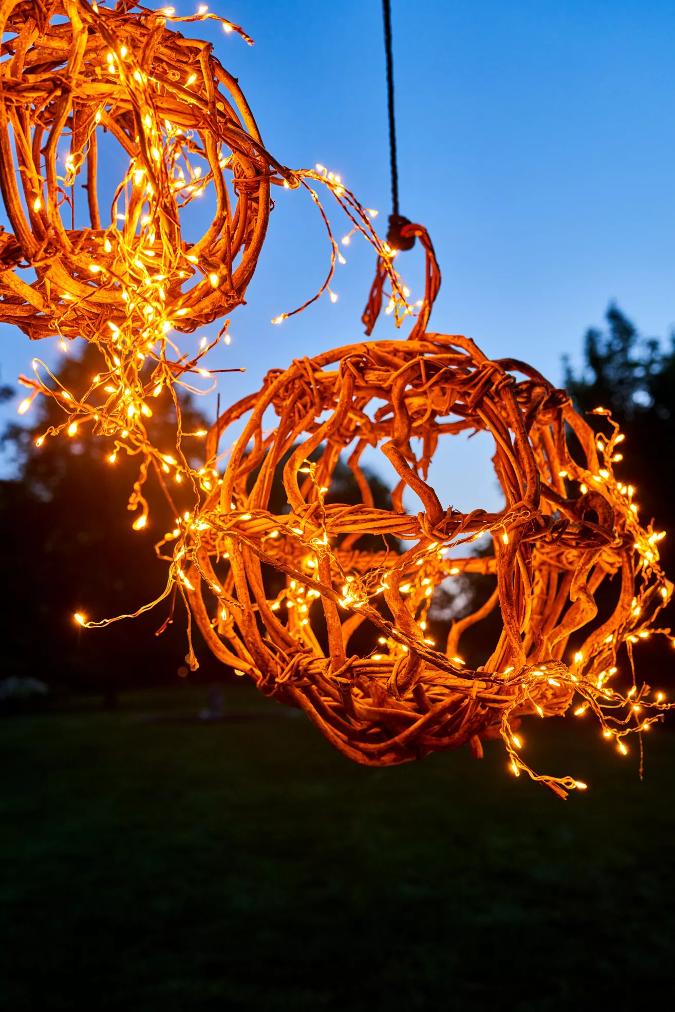 Stargazer Climbing Vine Garland - thumbnail 9