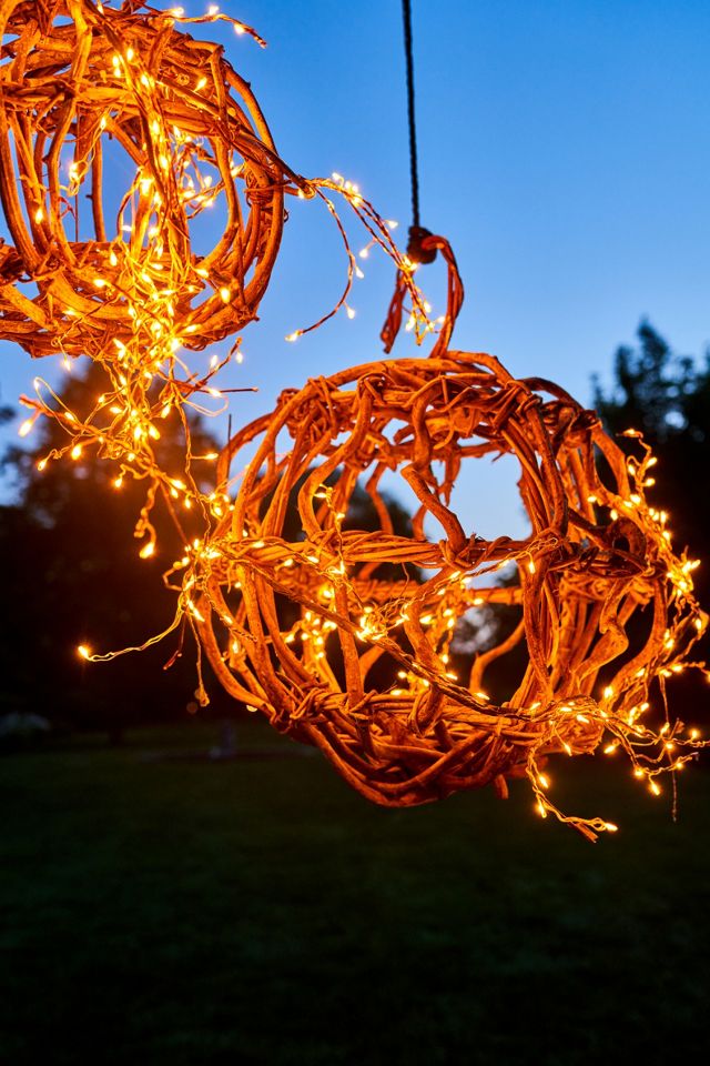 Stargazer Twinkling Climbing Vine Garland #3