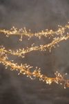 Stargazer Twinkling Climbing Vine Garland