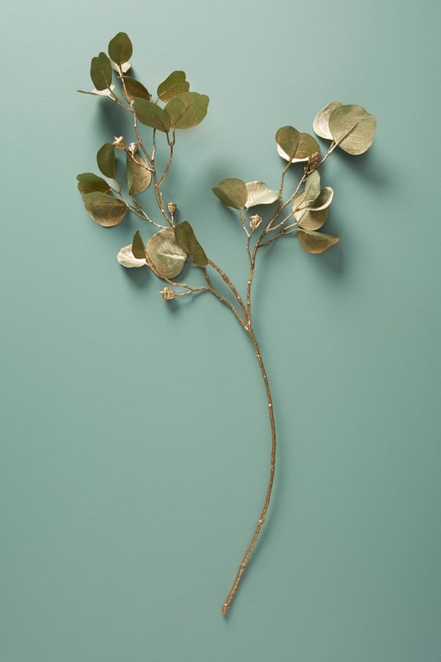 Gold Eucalyptus Spray #1