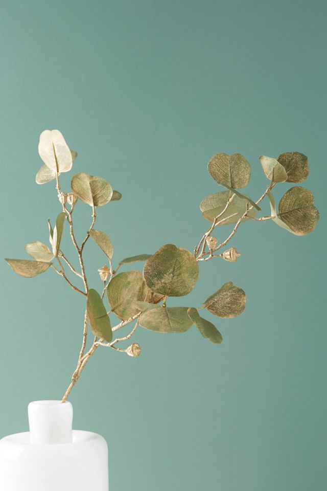 Gold Eucalyptus Spray