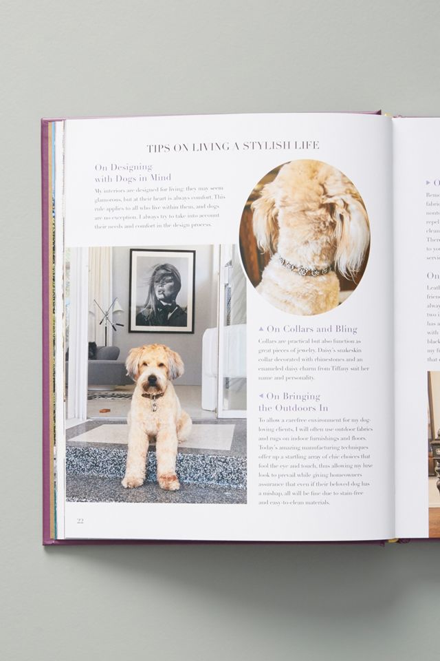 At Home with Dogs and their Designers #1