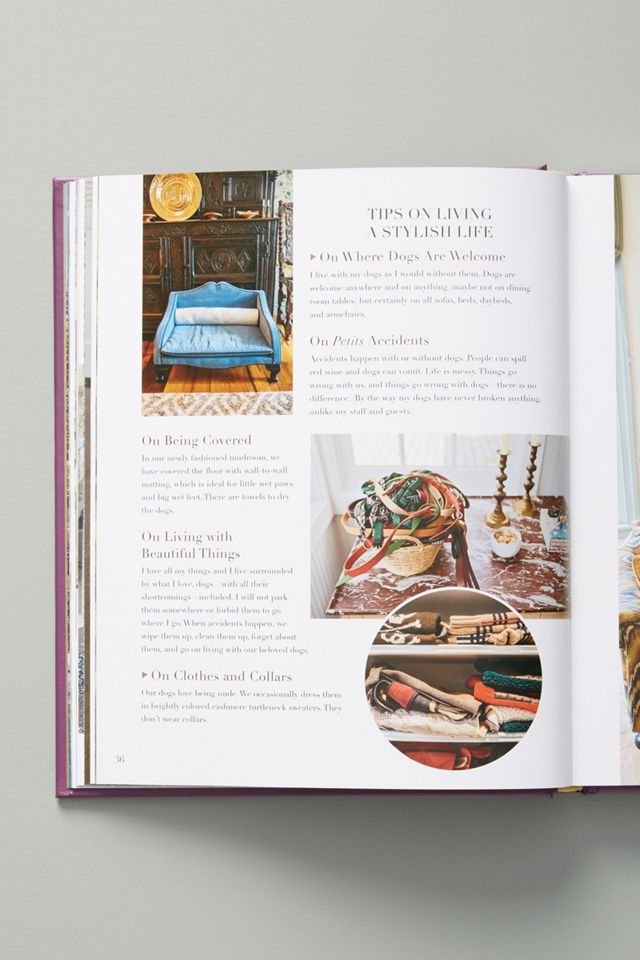 At Home with Dogs and their Designers #2
