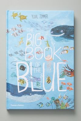 The Big Book of the Blue