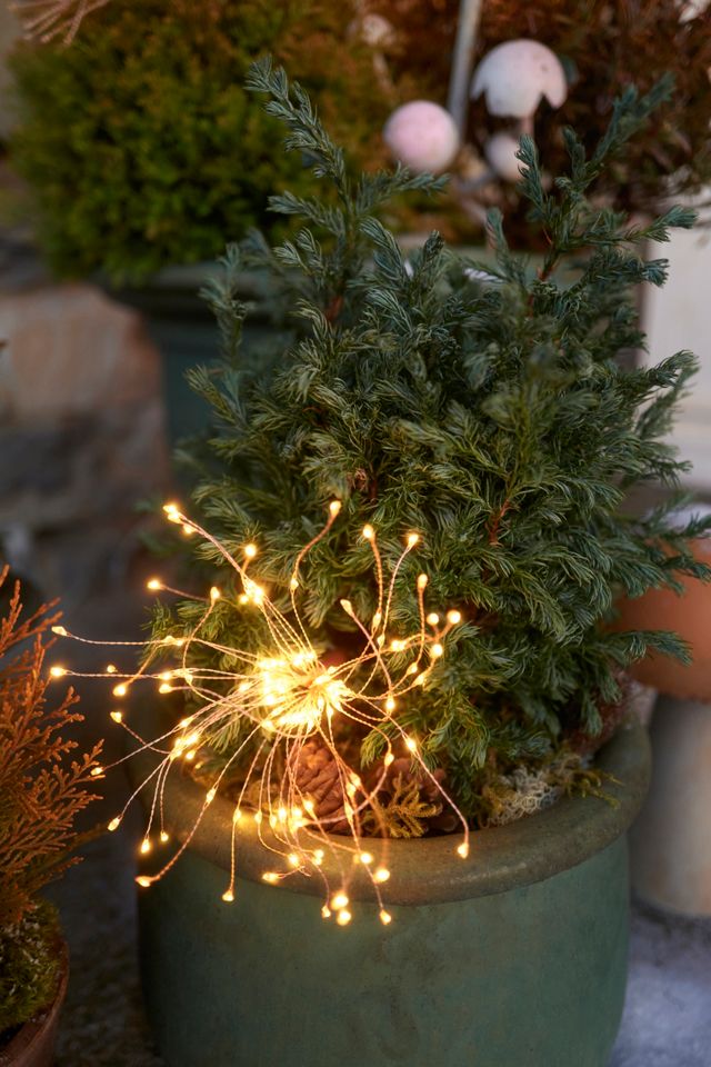 Stargazer Northstar Twinkling Pendant Light + Tree Topper #6