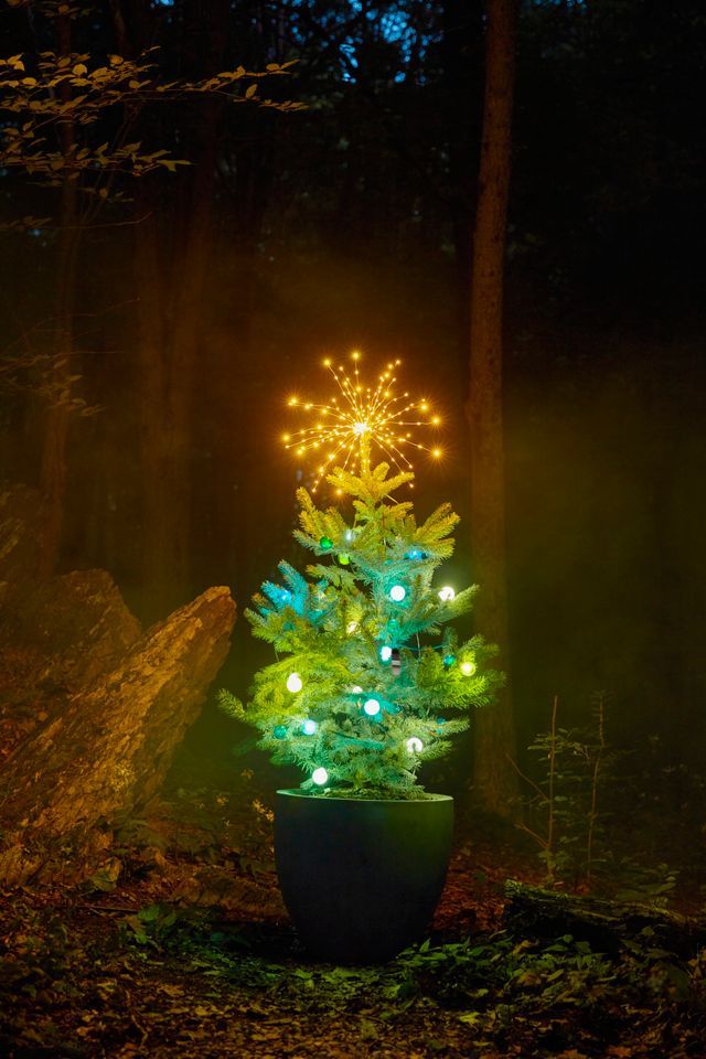 Stargazer Northstar Twinkling Pendant Light + Tree Topper #9