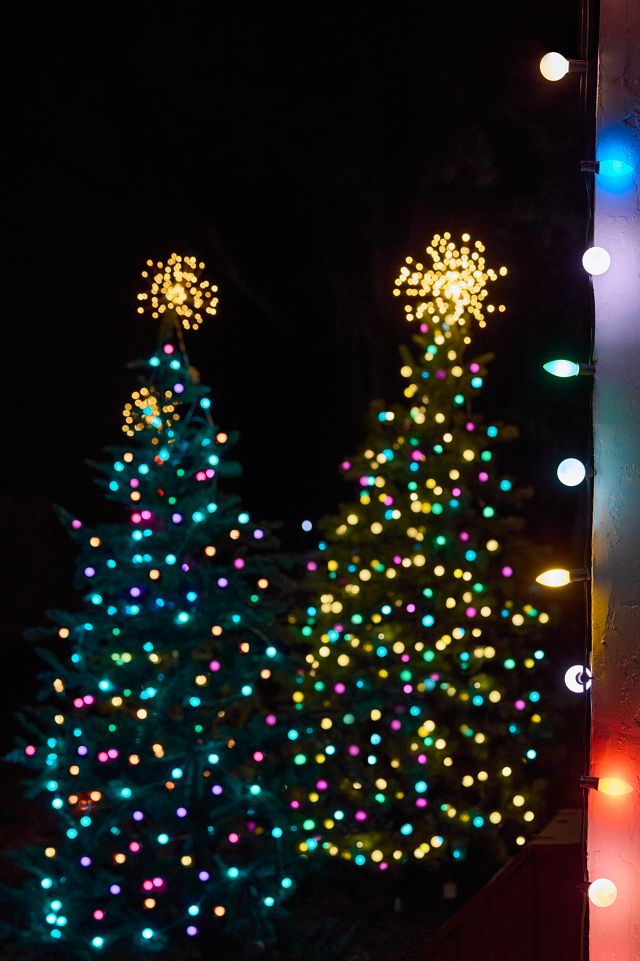 Stargazer Northstar Twinkling Pendant Light + Tree Topper #22