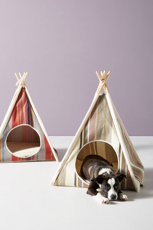 Pet Play Tent #4