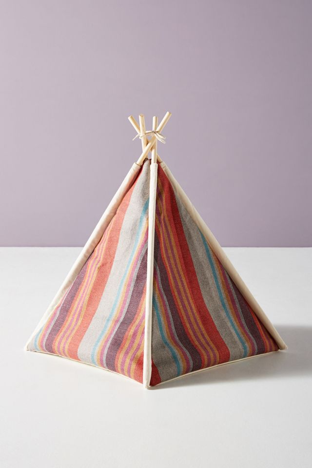 Pet Play Tent #1