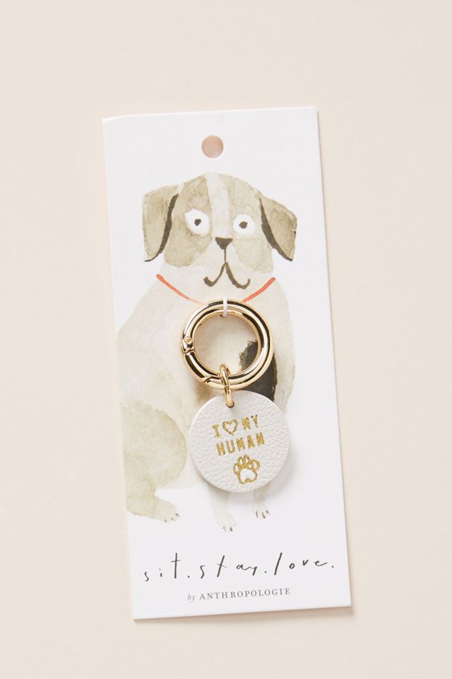 Dixon Dog Collar Charm #1