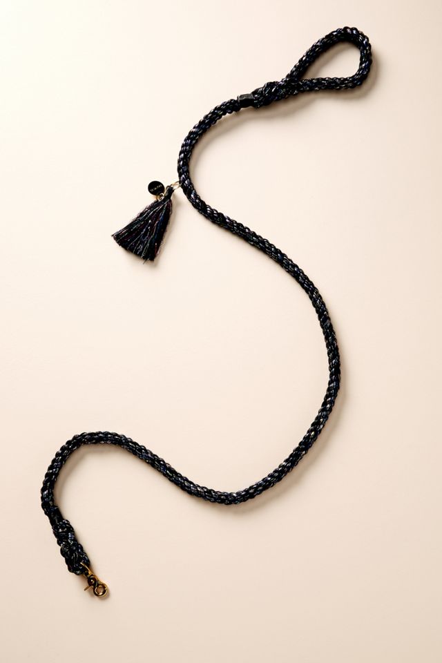 Metallic Leash