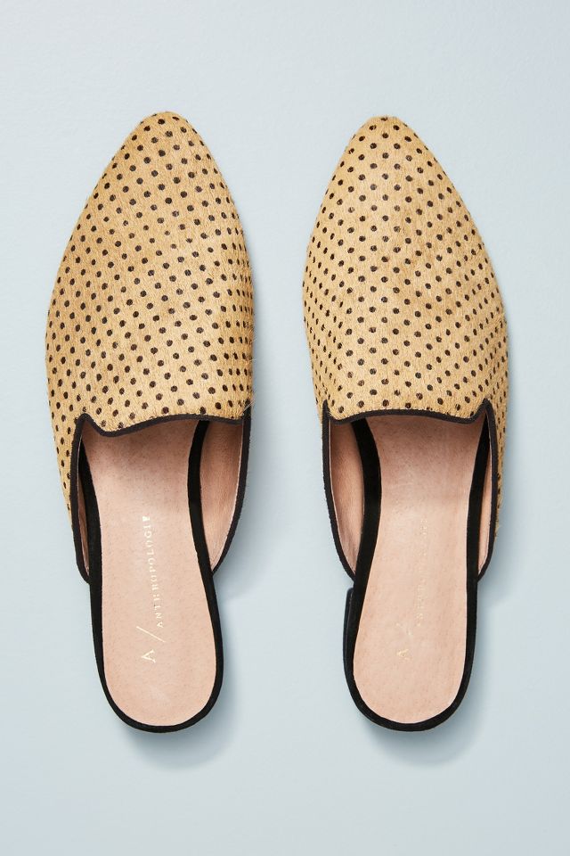 Anthropologie Connect the Dots Slides | Anthropologie