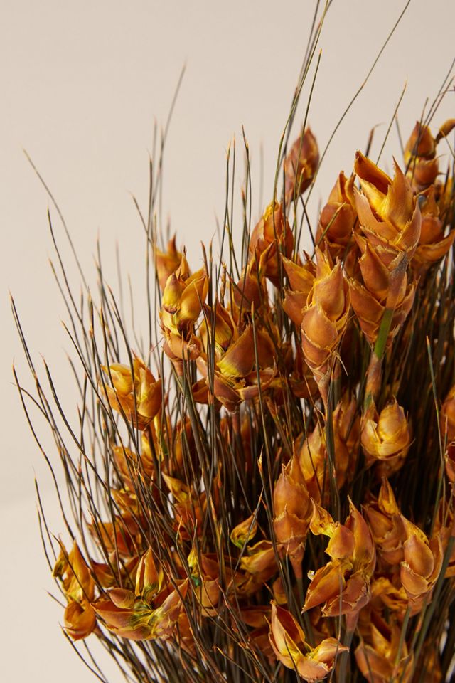 Dried Bell Grass Bouquet #2