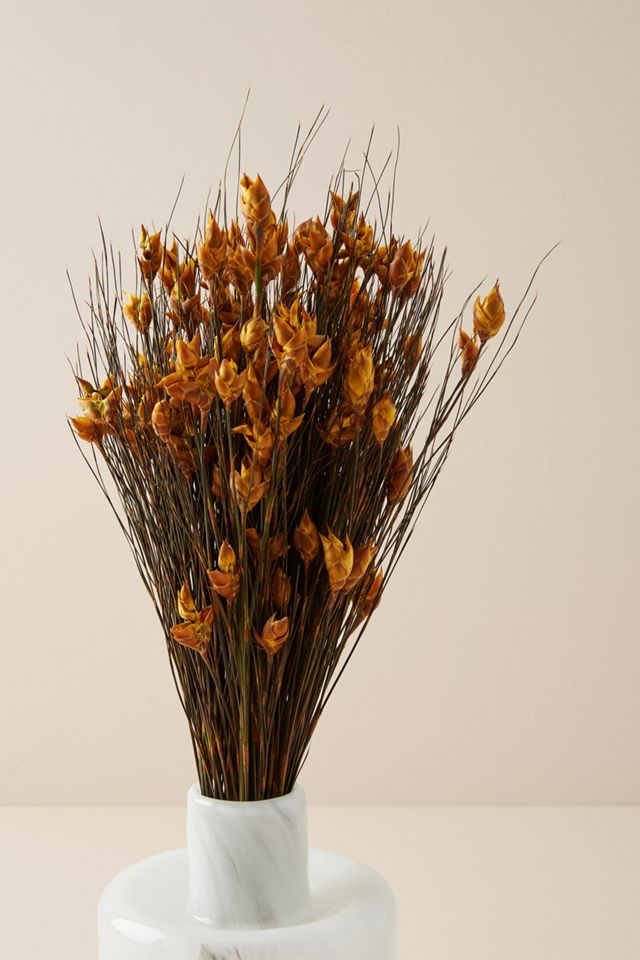 Dried Bell Grass Bouquet