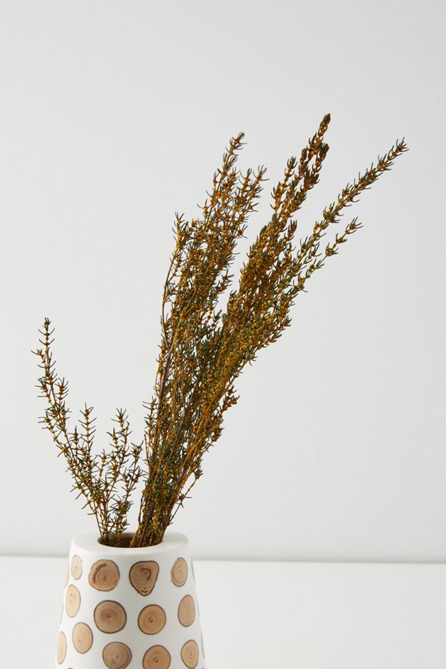 Dried Grabia Bouquet
